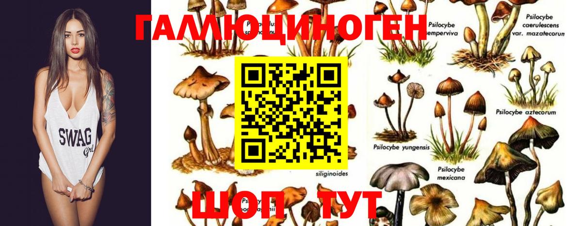 Галлюциногенные грибы Magic Shrooms  Псилоцибиновые грибы Cubensis  Вход с VPN  Семёнов 